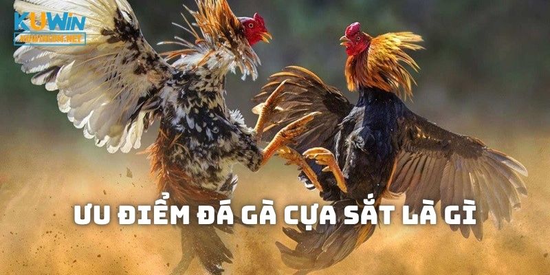 Khám phá ngay những đặc điểm của đá gà cựa sắt là gì
